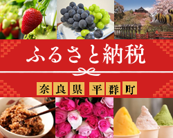 (200×250)ふるさと納税v2