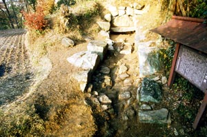 横穴式石室（南西より）写真