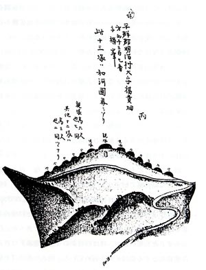 「大和国古墳墓取調書」より写真