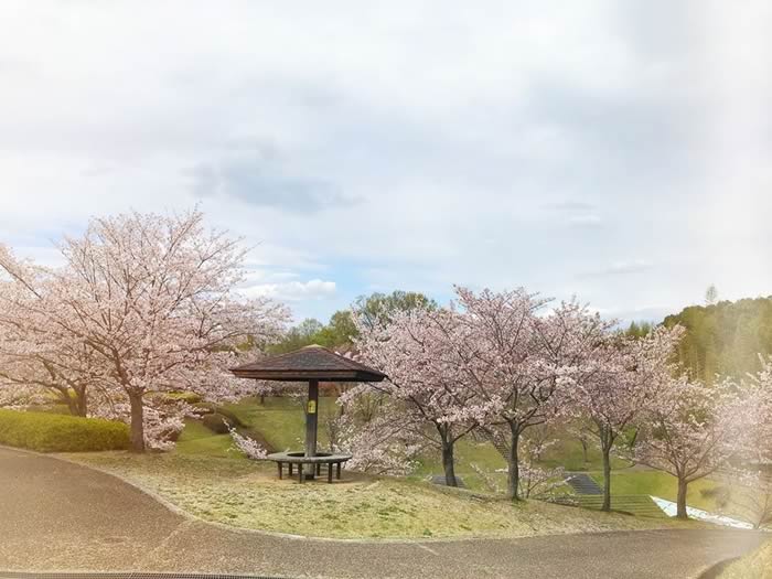 平群中央公園の画像3