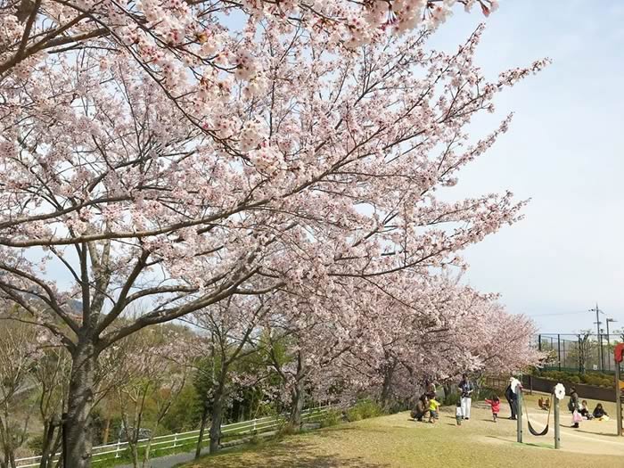 平群北公園の画像4