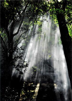 船山神社（平成19年）