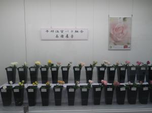 オータムフェスタ