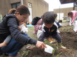 ハムスターズファミリー