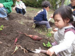 ハムスターズファミリー