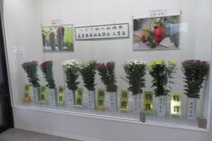 オータムフェスタ