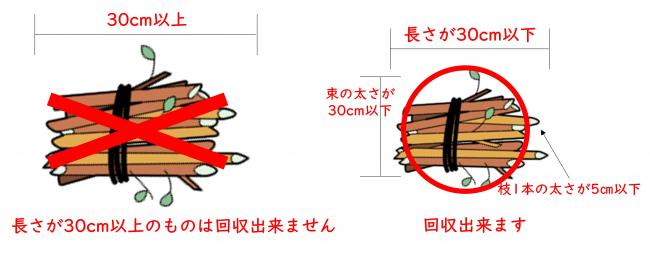剪定枝の長さは30㎝以下にしてください