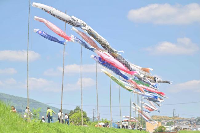 鯉のぼりの思い出