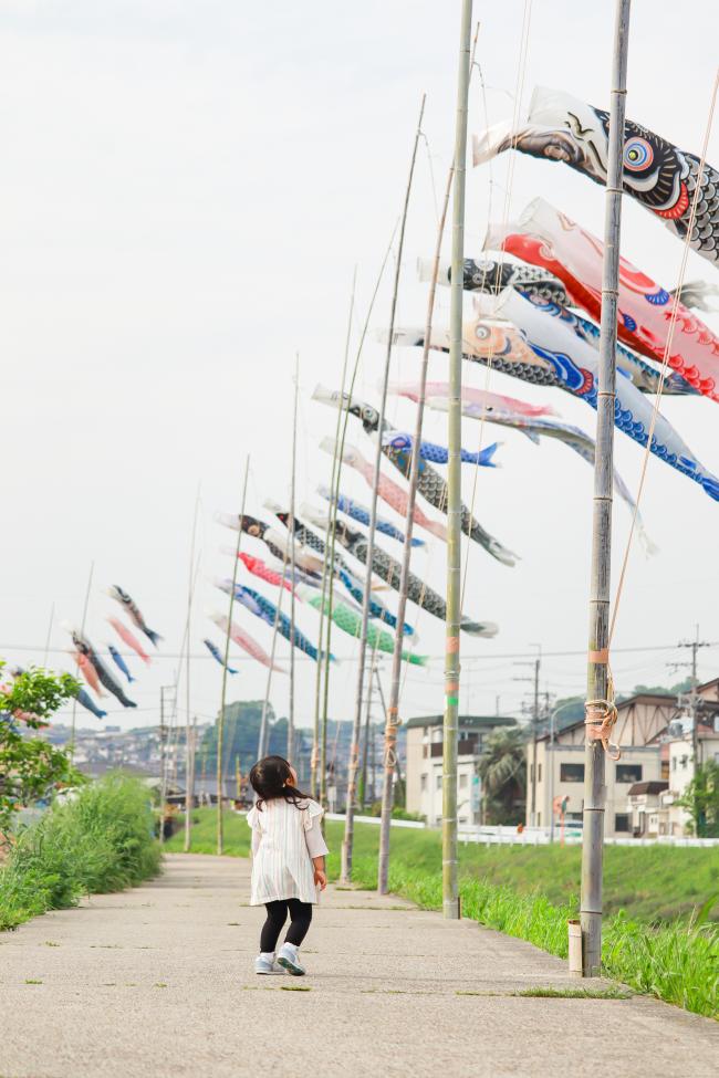 お空を泳ぐ、ながい列。